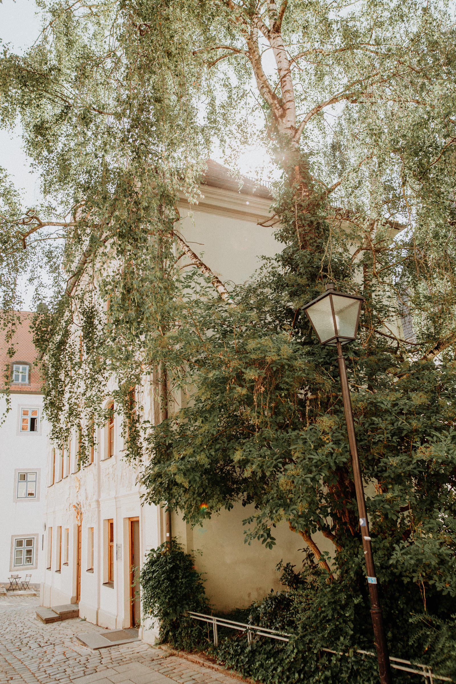 Standesamtliche Hochzeit in Freising, Weihenstephan 18